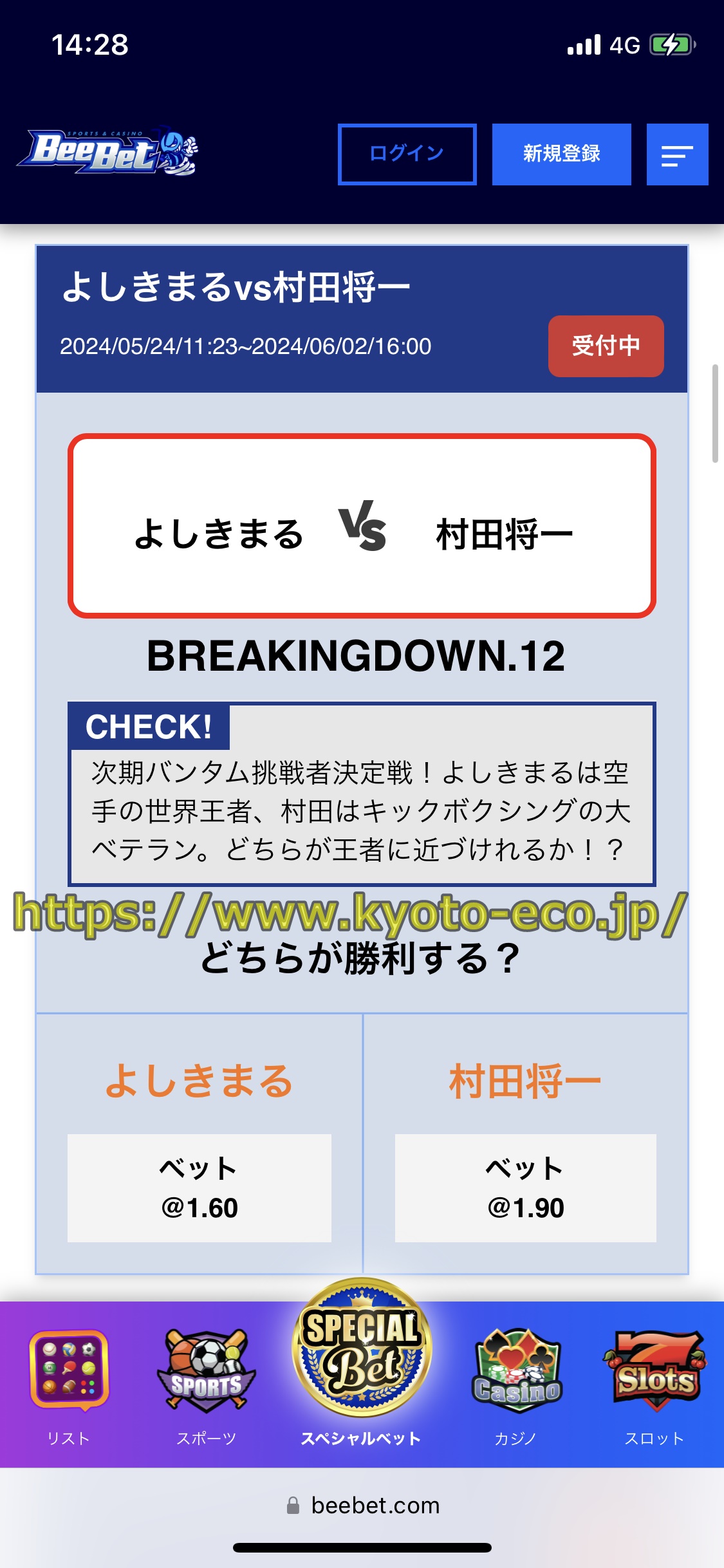 ブレイキングダウン