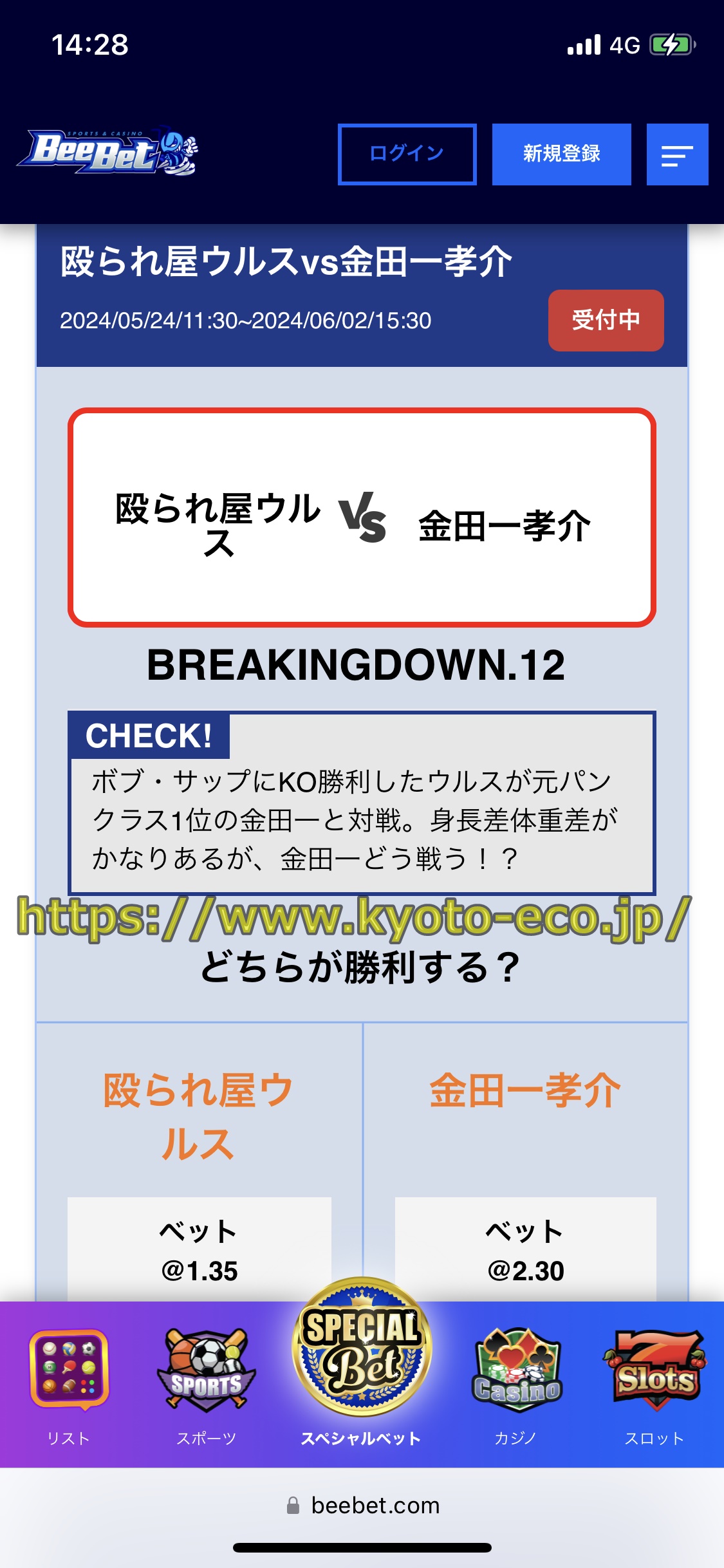 ブレイキングダウン