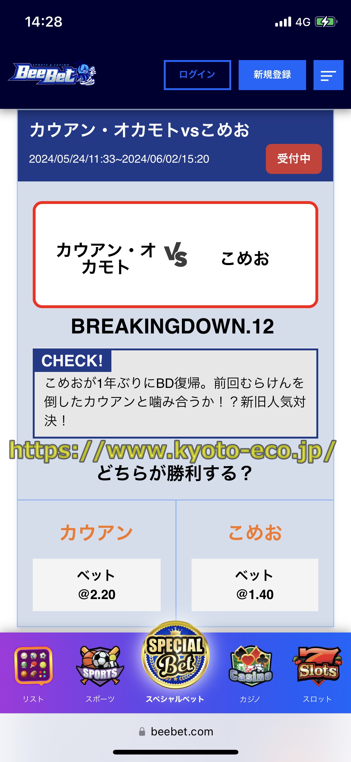 ブレイキングダウン